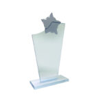 PREMIUM GLASS AWARD 20CM