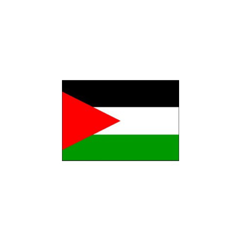 F110-0018.jpg PALESTINE FLAG 160X80CM – HERO OUTDOOR WITH ROPES - Image 1