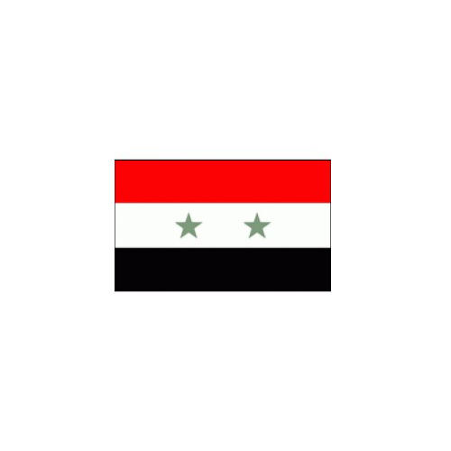 F110-0023.jpg SYRIA FLAG 1980–2024 150X100CM – HERO OUTDOOR WITH ROPES - Image 1