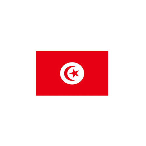 F110-0024.jpg TUNISIA FLAG 150X100CM – HERO OUTDOOR WITH ROPES - Image 1