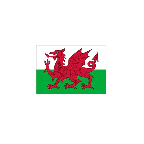 F110-0083.jpg WALES FLAG 150X100CM – HERO OUTDOOR WITH ROPES - Image 1