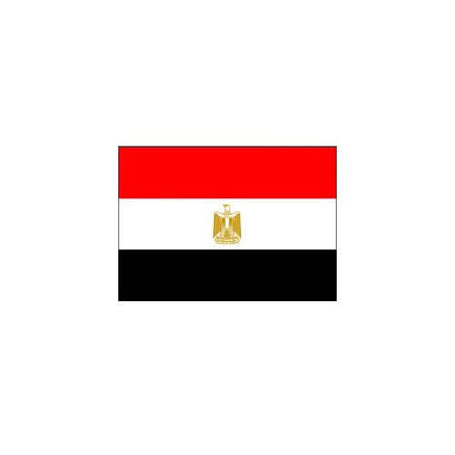F80-0043.jpg BUDGET EGYPT FLAG 150X90CM – POLYESTER WITH METAL EYELETS - Image 1