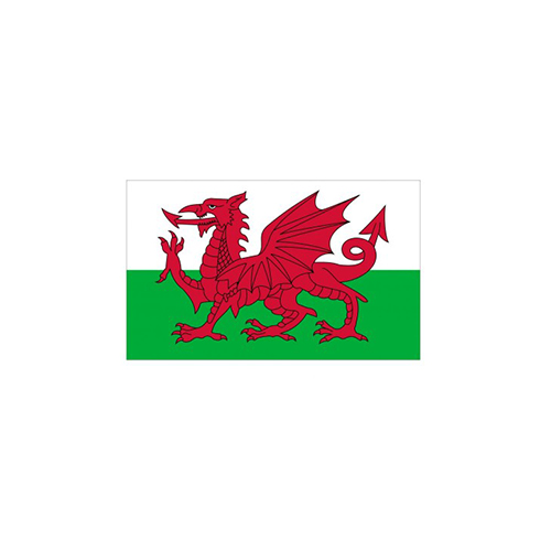 F80-0083.jpg BUDGET WALES FLAG 150X90CM – LIGHTWEIGHT POLYESTER WITH METAL EYELETS - Image 1