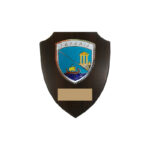 22X18CM SALAMIS SHIELD PLAQUE – CUSTOM COMMEMORATIVE & MILITARY AWARD