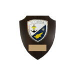 ALLASIA WARSHIP SHIELD 22*18CM