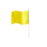 POLYESTER HAND FLAG 30X21CM – LIGHTWEIGHT, VIBRANT, AND PERFECT FOR EVENTS - Image 11