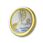 GOLD PIN 2CM IDEAL FOR DOMING