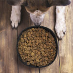 FOLDABLE PET BOWL POPPY 1.3L - Image 7