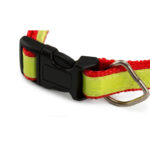 PET COLLAR MUTTLEY WITH ADJUSTABLE CLOSURE - Image 5