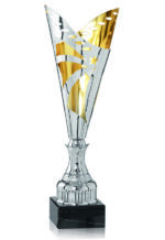 STAR LINE TROPHY AWARD 42CM - Image 2