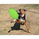 FOLDABLE FRISBEE WATSON IN BRIGHT TONES - Image 12