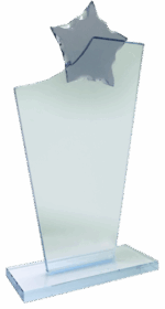 PREMIUM GLASS AWARD 20CM - Image 2