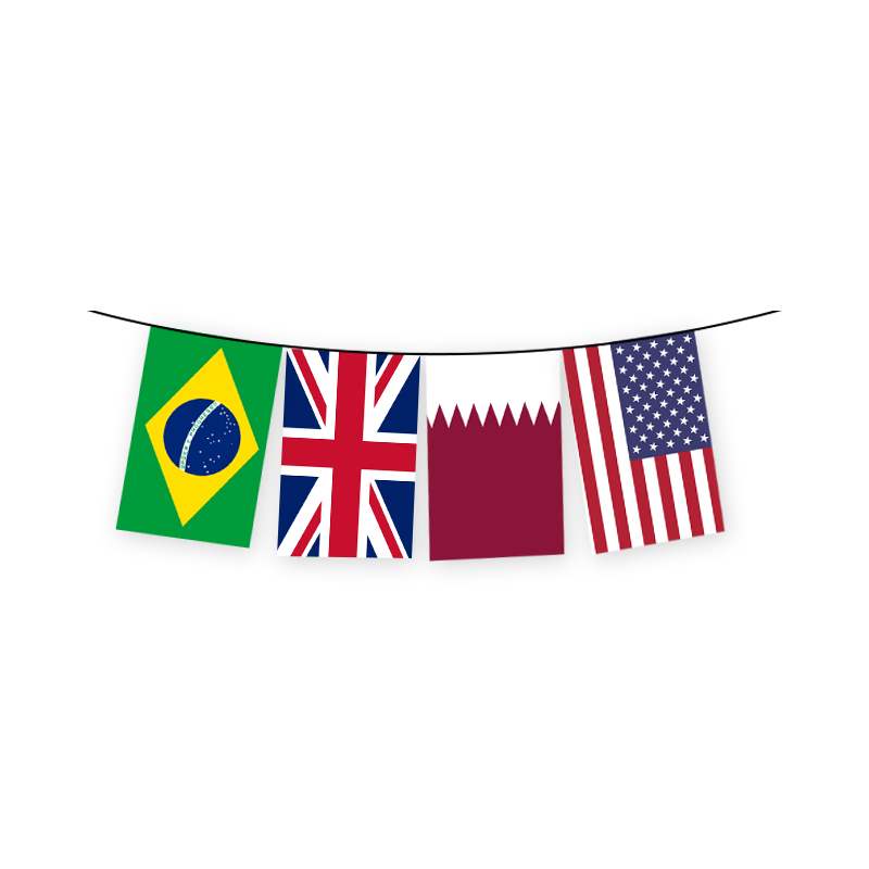 FLA2201_1.jpg WORLD CUP GIANT BUNTING 20M - Image 1