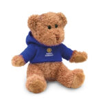 TEDDY BEAR WITH HOODED SWEATER - Image 8