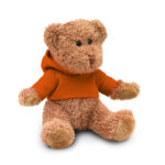 TEDDY BEAR WITH HOODED SWEATER - Image 9