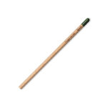 ECOLOGICAL SPROUT PENCIL