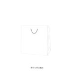 CUSTOM LAMINATED GIFT BAG 17*17*8 - Image 2