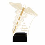 ACHIEVMENT MEDICAL AWARDS 23CM - Image 2