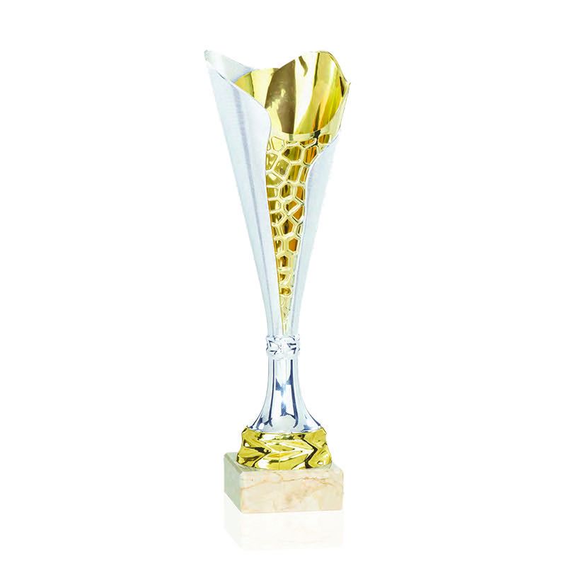 354208141_1220704055304333_4361718463786652404_n BUDGET LINE SILVER-GOLD TROPHY 35CM - Image 1