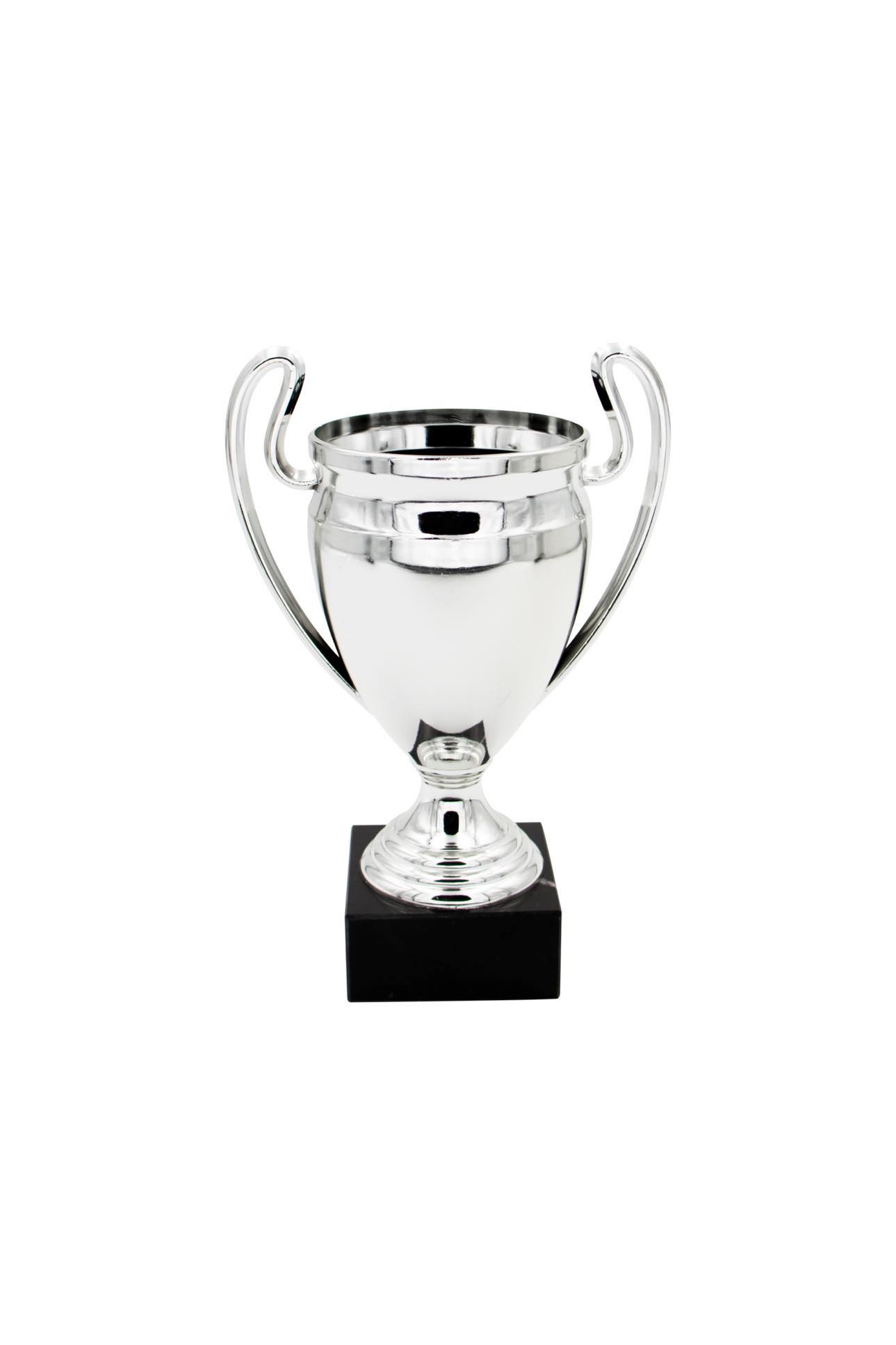 368166204_172774825771880_6774746177534192357_n BUDGET SMALL TROPHY 17CM - Image 1