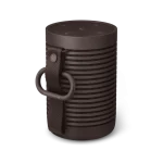 BEOSOUND EXPLORE CHESTNUT