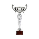 STAR LINE CUP TROPHY 34CM - Image 2