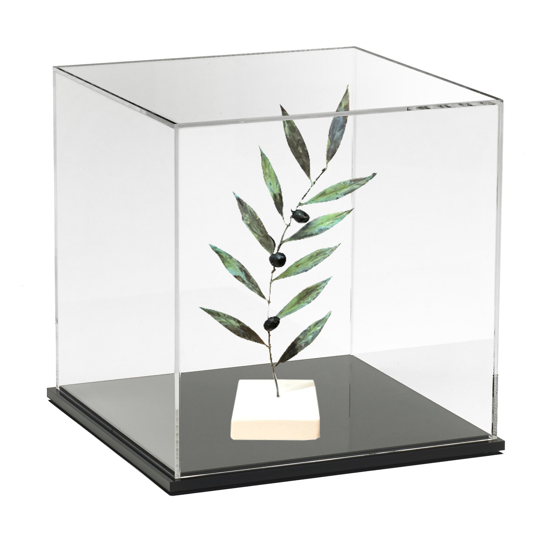 NM13307-BOX LARGE HANDMADE OLIVE BRANCH IN ANTIQUE IN A BOX - Image 1
