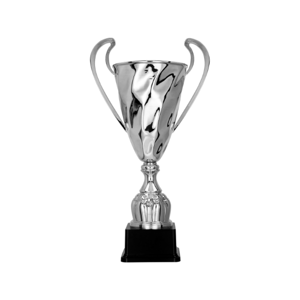 1075 CHAMPIONS LINE TROPHY 49.5CM - Image 1