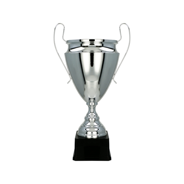 2020 CHAMPIONS LINE TROPHY 54CM - Image 1