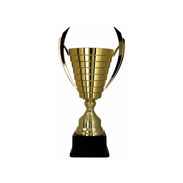 2081 CHAMPIONS TROPHY IN GOLD 55CM - Image 1