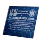 PREMIUM CRYSTAL AWARD 19CM - Image 2