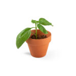 ECOTUBE 16GB USB FLASH DRIVE – CYLINDRICAL DESIGN IN RECYCLED CARDBOARD - Image 13