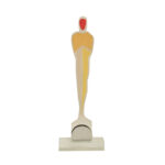 ARTISTIC MODERN OSCAR PLEXIGLASS AWARD 29CM - Image 2