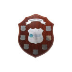 WINNERS MEMORIAL SHIELD 25CM - Image 2